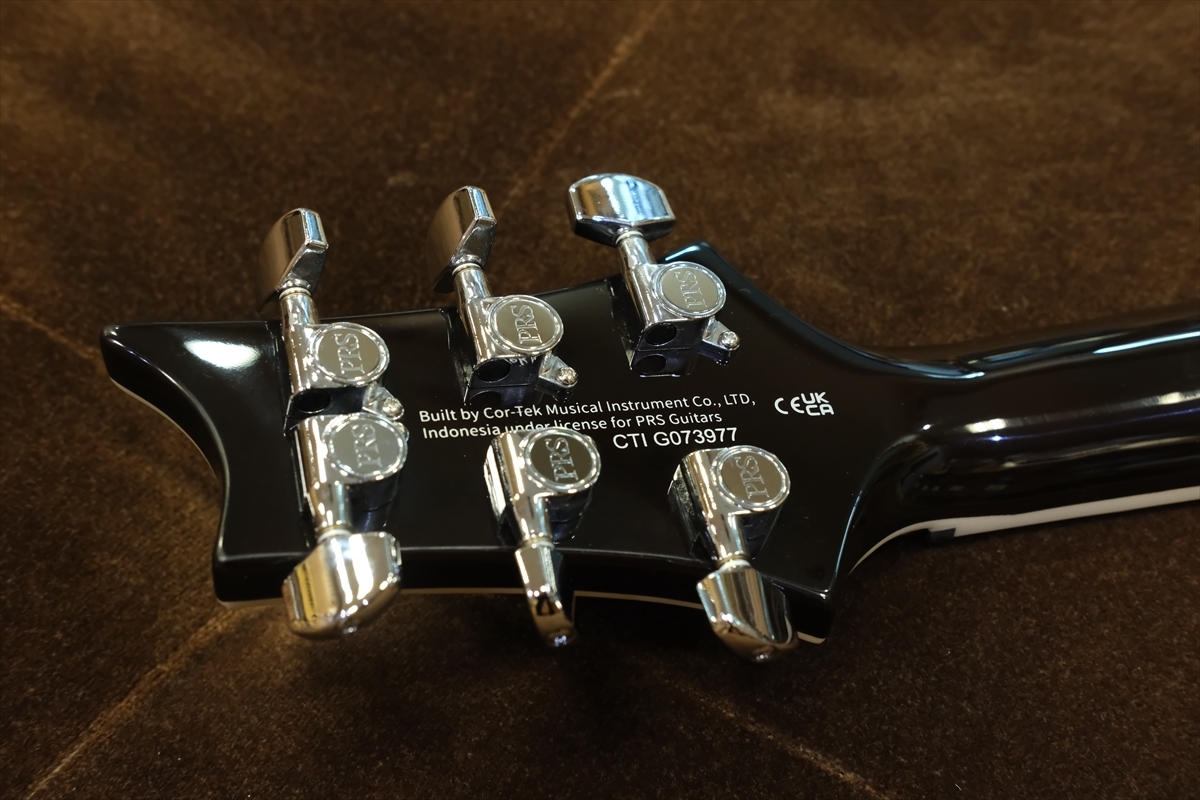 Paul Reed Smith(PRS) SE Custom 24 Semi-Hollow Piezo