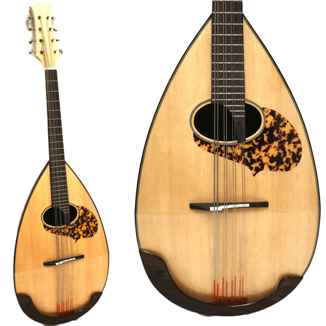 Prestri Mandoloncello マンドロンチェロ マンドセロ（新品/送料無料