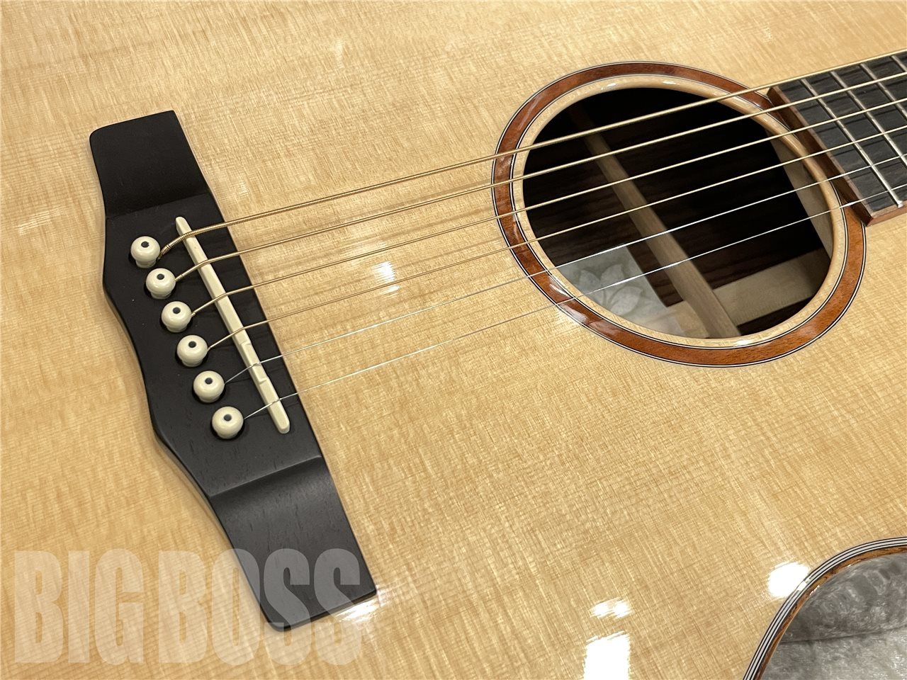Morris SC-71【Natural】（新品/送料無料）【楽器検索デジマート】