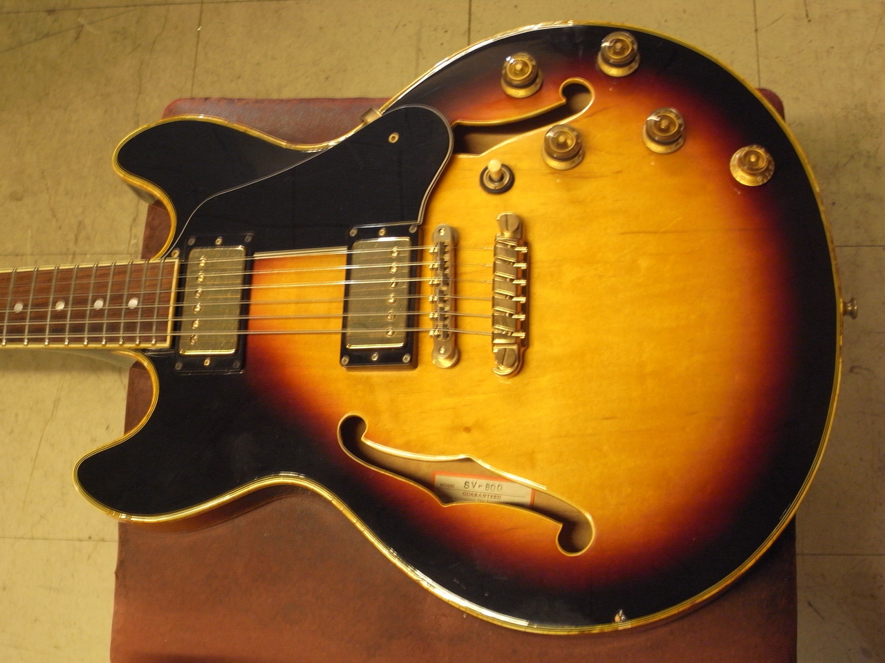 Greco SV-800 (1981)（中古）【楽器検索デジマート】