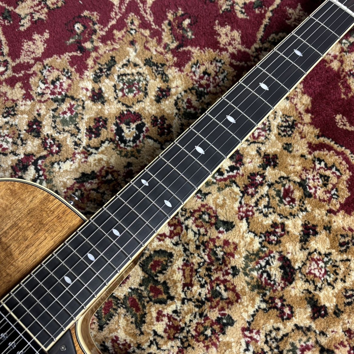 Kikuchi Guitars JS-15 Blackwood (2025 Limited Model) 【2.73kg