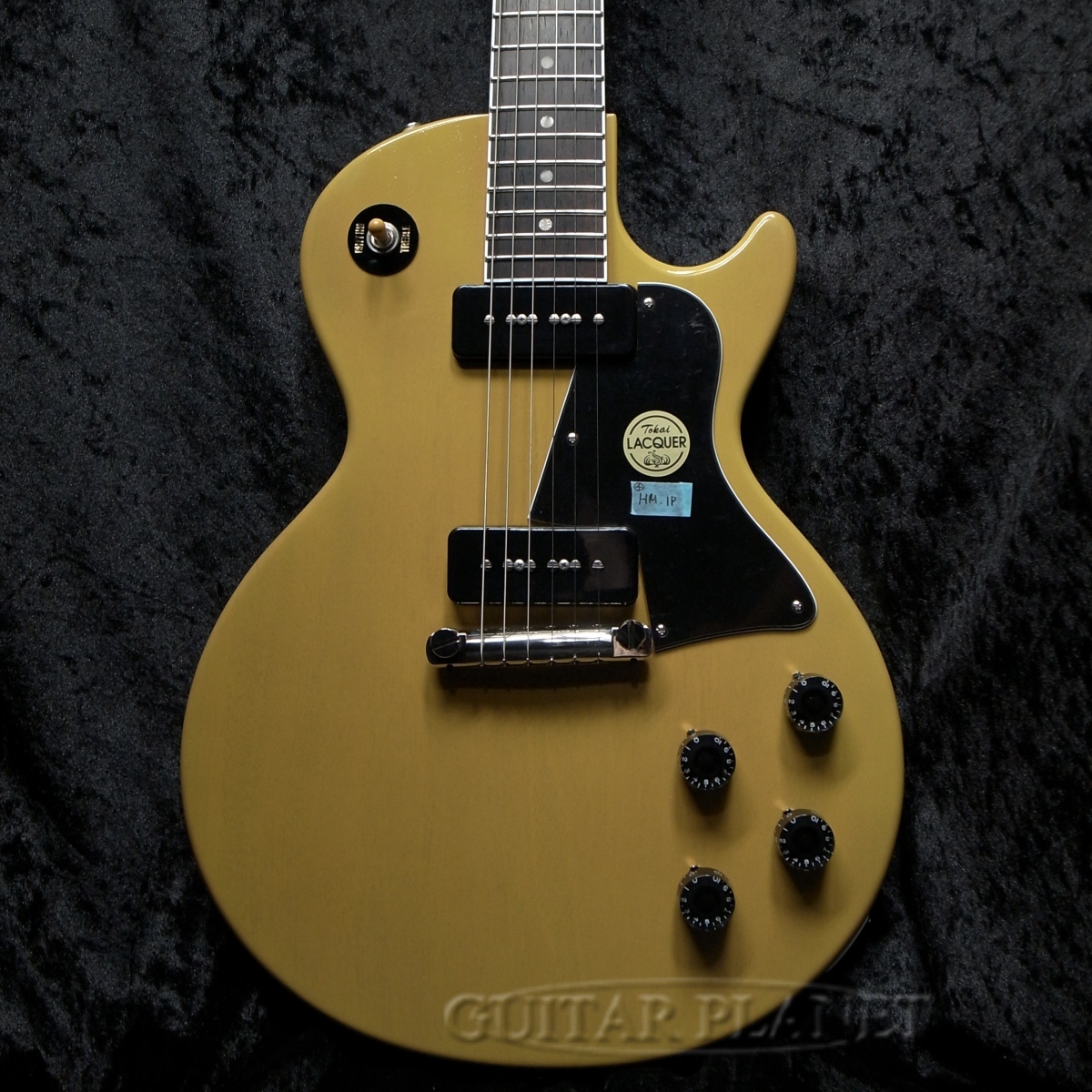 Tokai LSS-GP HMMR C/SYW【ホンマホワンピース】【マダガスカルローズ