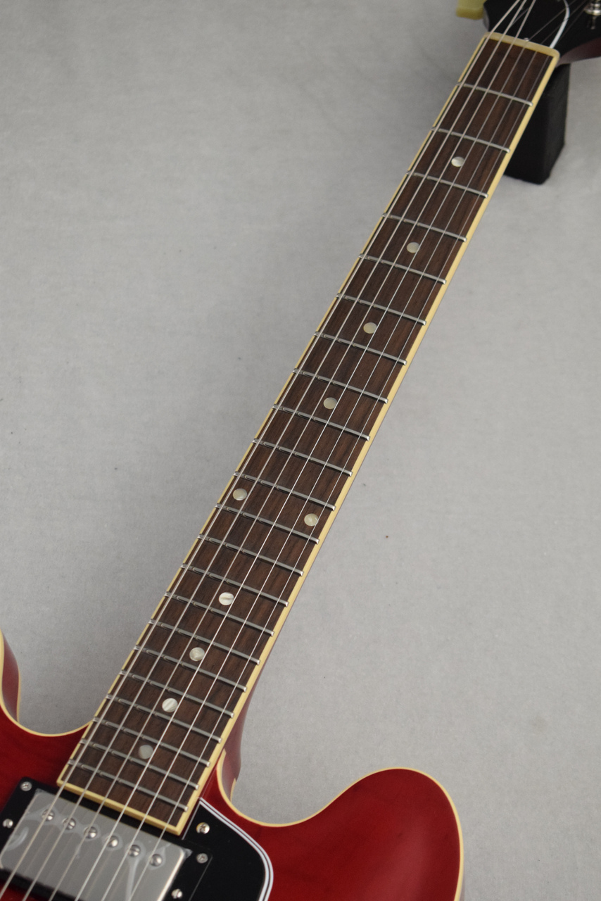 Tokai 【製造再開/次回入荷より値上げ】Premium Series ES248