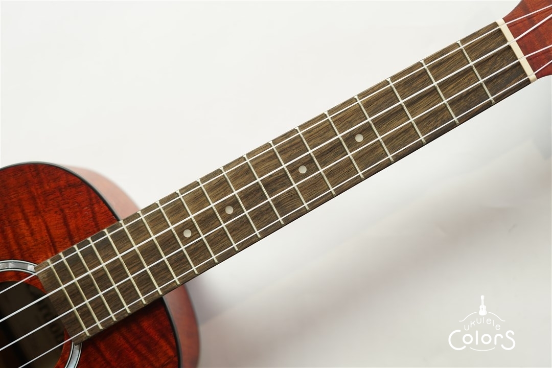 Cordoba 15CFM - Rose Red（新品）【楽器検索デジマート】