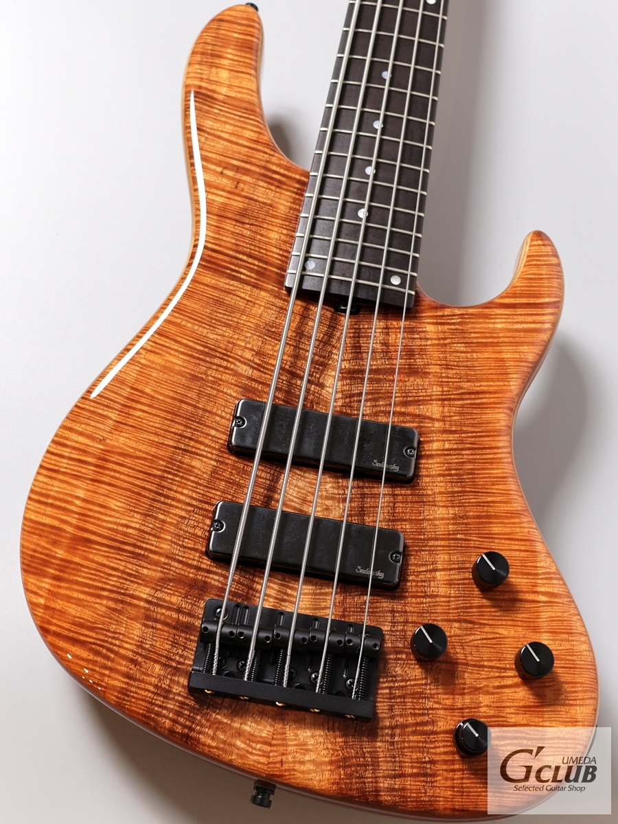 Sadowsky MasterBuilt 24-Fret Modern Bass MS5 2025 Limited Edition