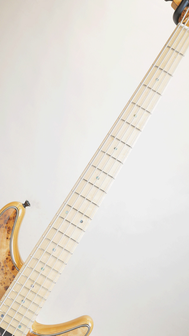 Sugi NB5M A EM/ASH/GGF 限定カラー 5弦ベース sugi - Geek IN Box Sugi