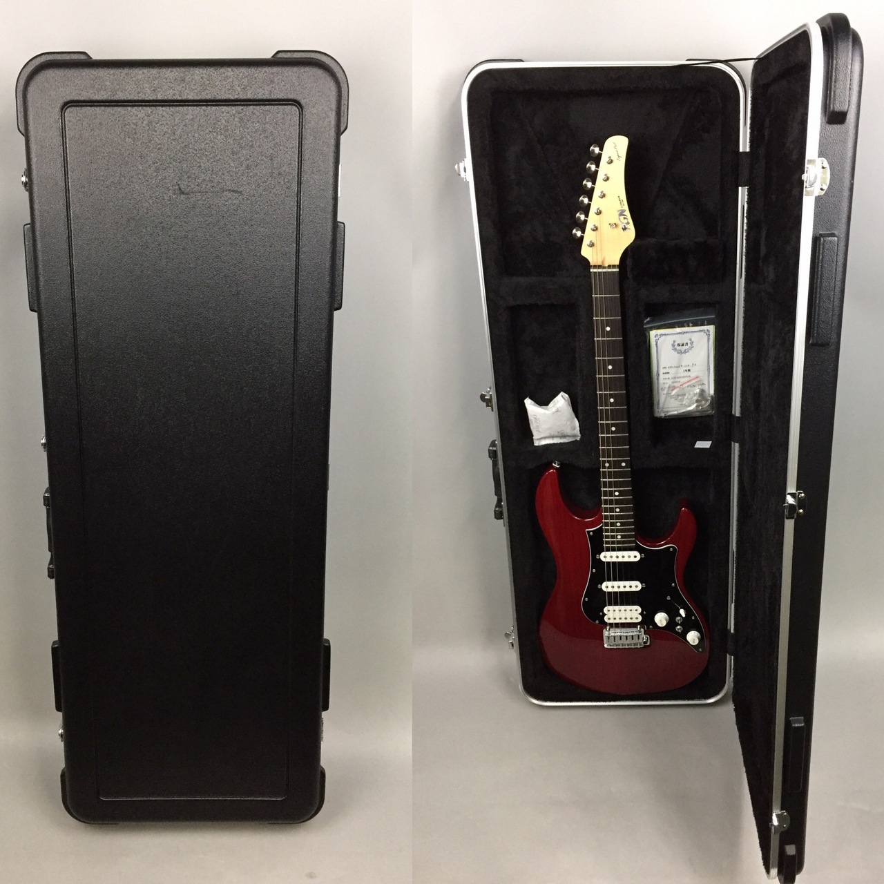 FUJIGEN(フジゲン) EOS-ASH-M/STR レッド FUJIGEN(FGN) Expert EOS-ASH-R DR(Dark Red)（中古/送料無料