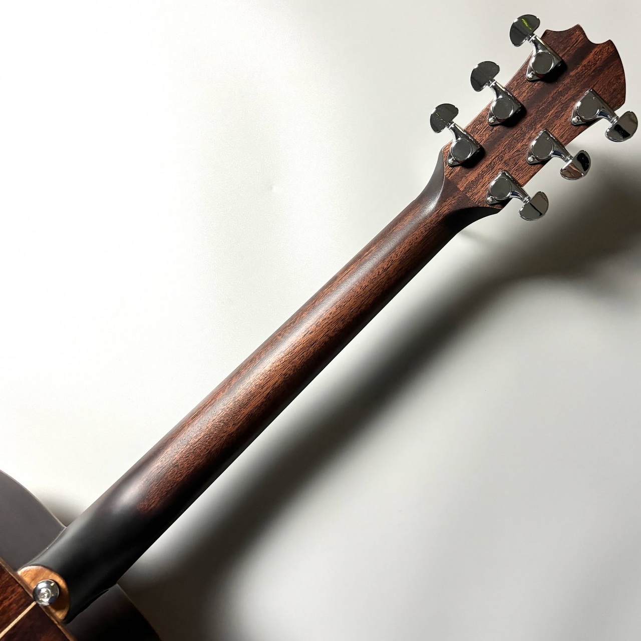 ✦BlueBell W−350ドレッドノートギター　エレアコ仕様！短期限定値下げ ✦BlueBell W−350ドレッドノートギター エレアコ仕様！短期限定