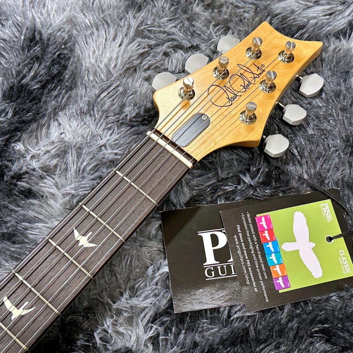 Paul Reed Smith(PRS) Silver Sky Rosewood Tungsten -John Mayer