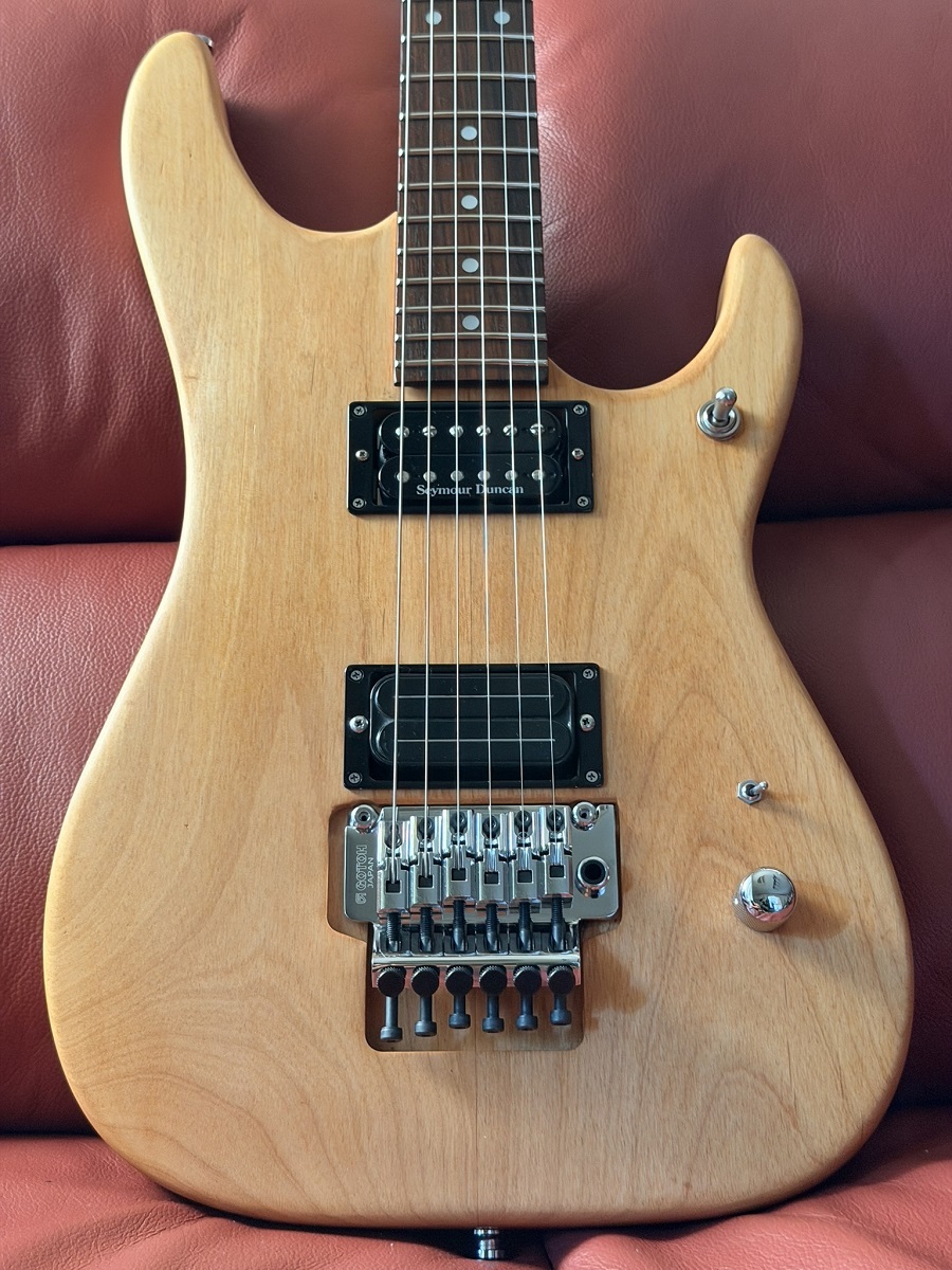 Washburn Nuno Bettencourt Signature Model N2（新品）【楽器検索