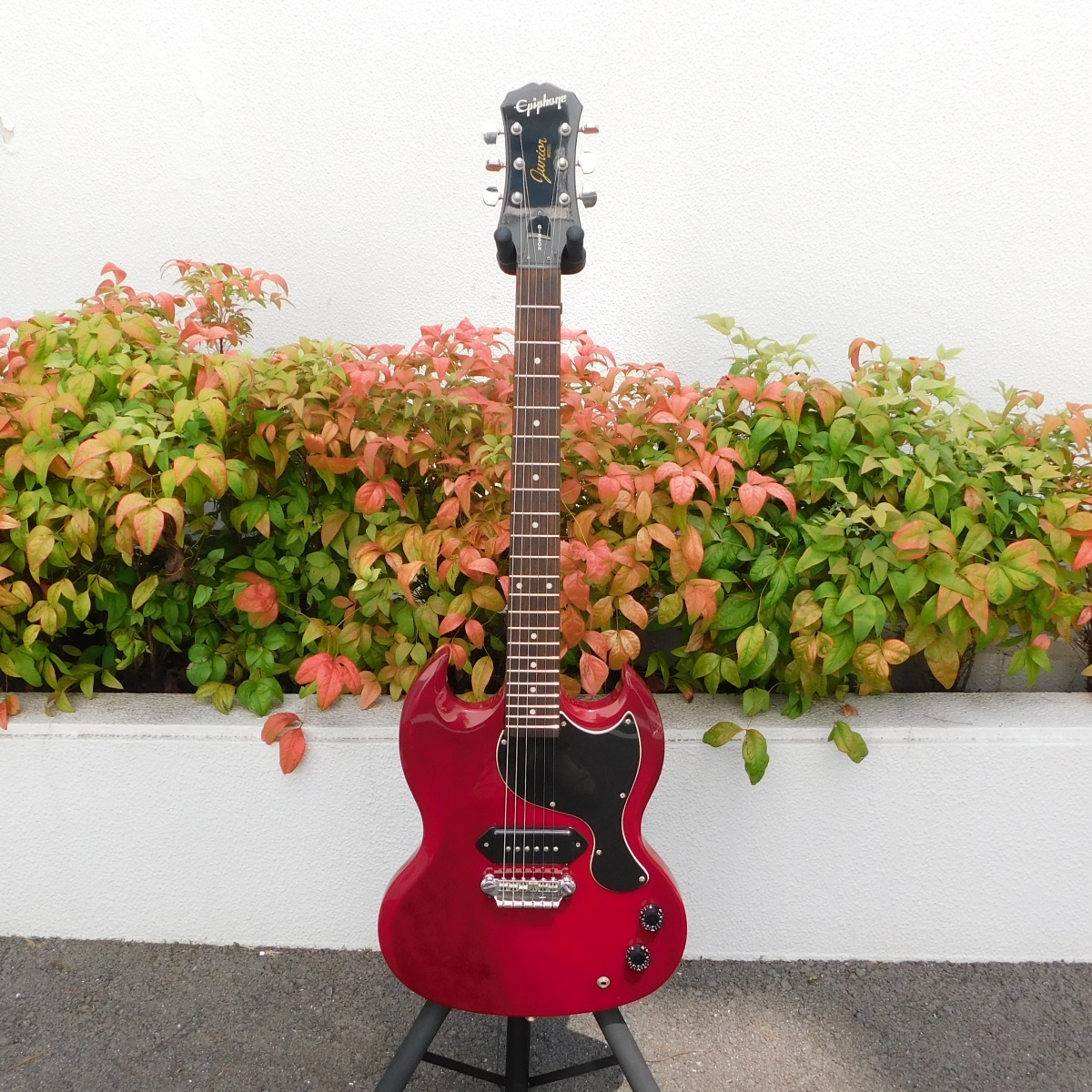 Epiphone SG Junior G-310 P-90（中古）【楽器検索デジマート】