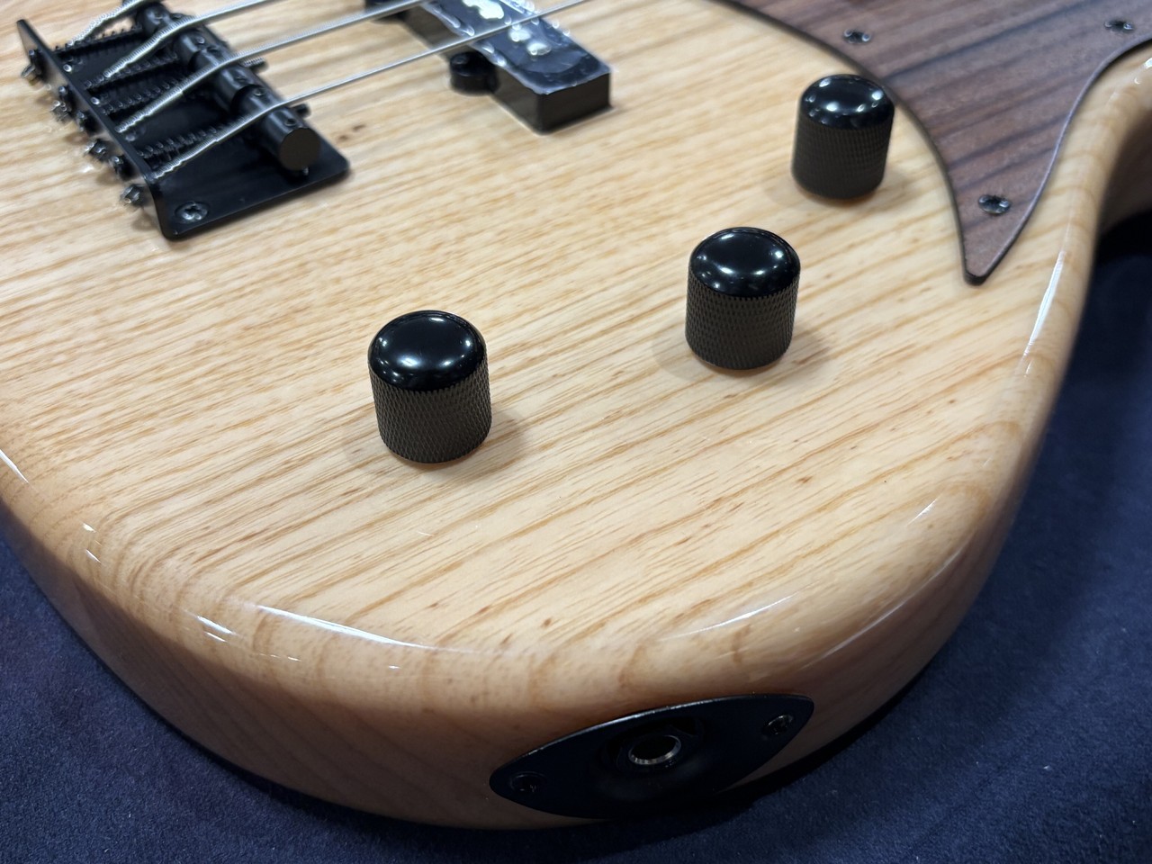 Aria Pro II RSB-700WP N【送料無料/即納可能】（新品/送料無料