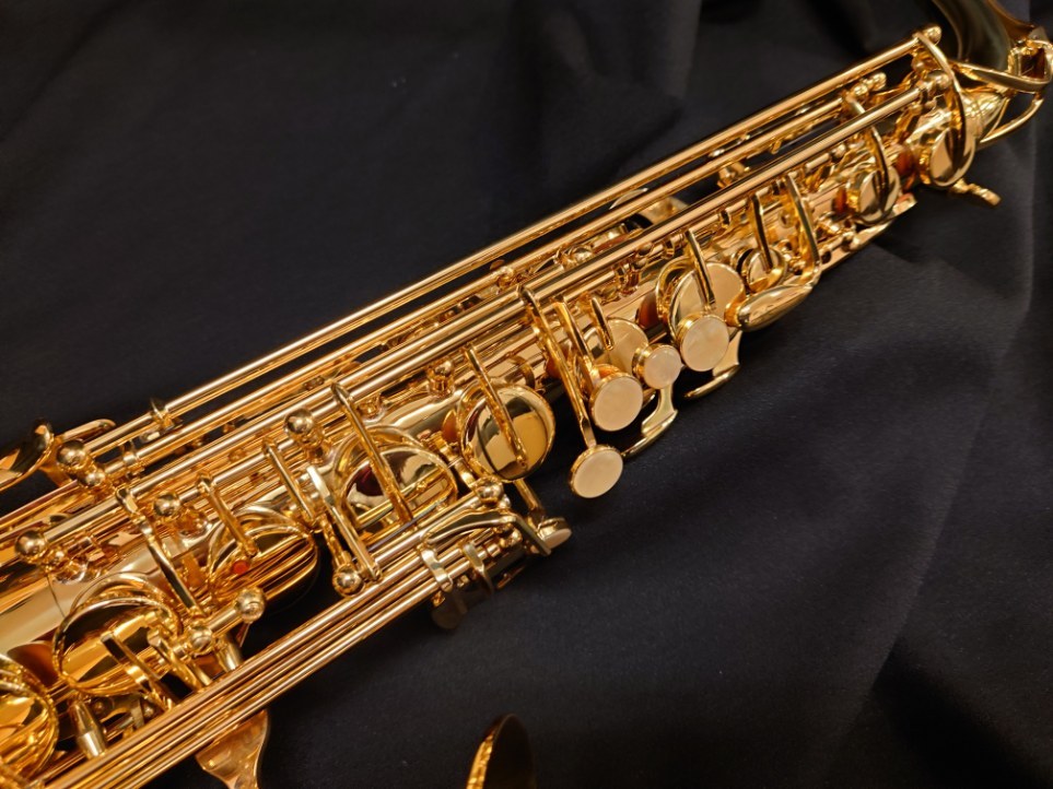 Buffet Crampon Prodige BC8301-1（新品）【楽器検索デジマート】