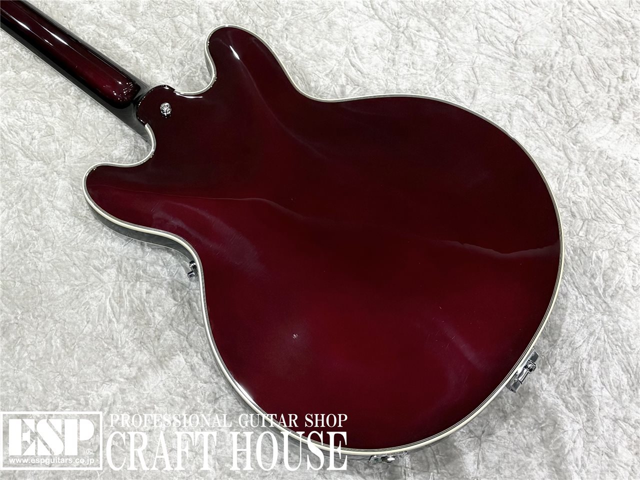 EDWARDS E-TORROCCO-CTM / METALLIC BORDEAUX（新品/送料無料）【楽器