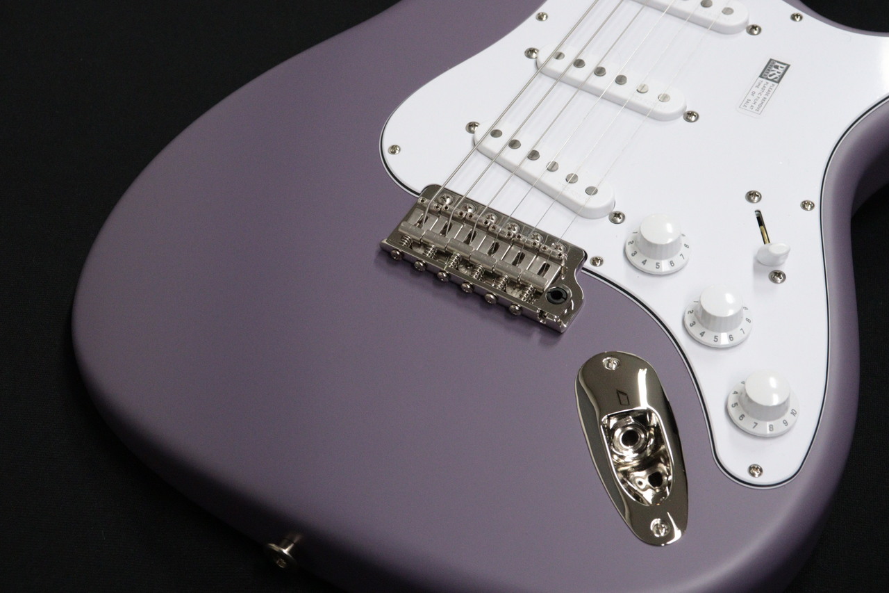 Paul Reed Smith(PRS) SILVER SKY Rosewood Black Plum Satin 【NEW