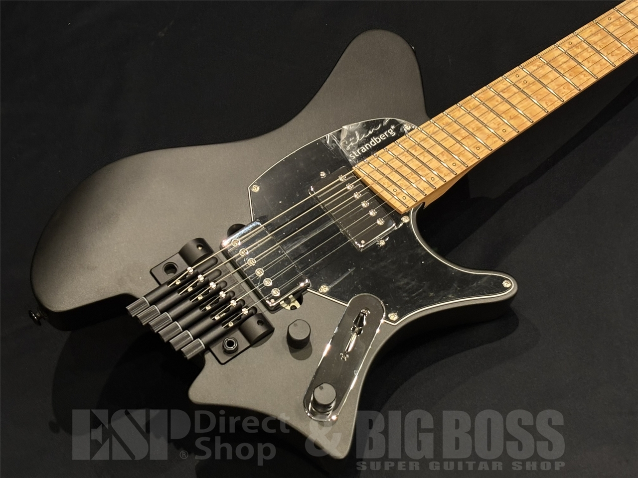 激レア】strandberg salen classic NX 6 ヘッドレス 激レア