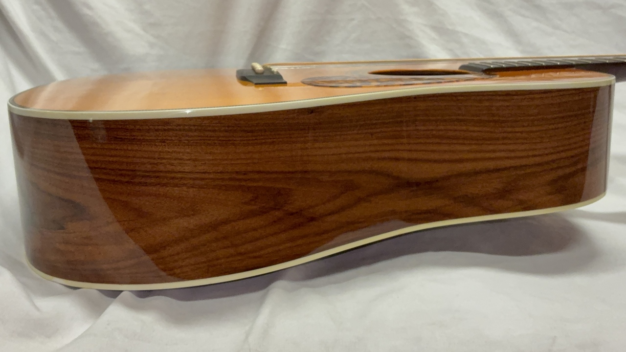 ARIA Dreadnought AD-ANNIV AN（中古）【楽器検索デジマート】