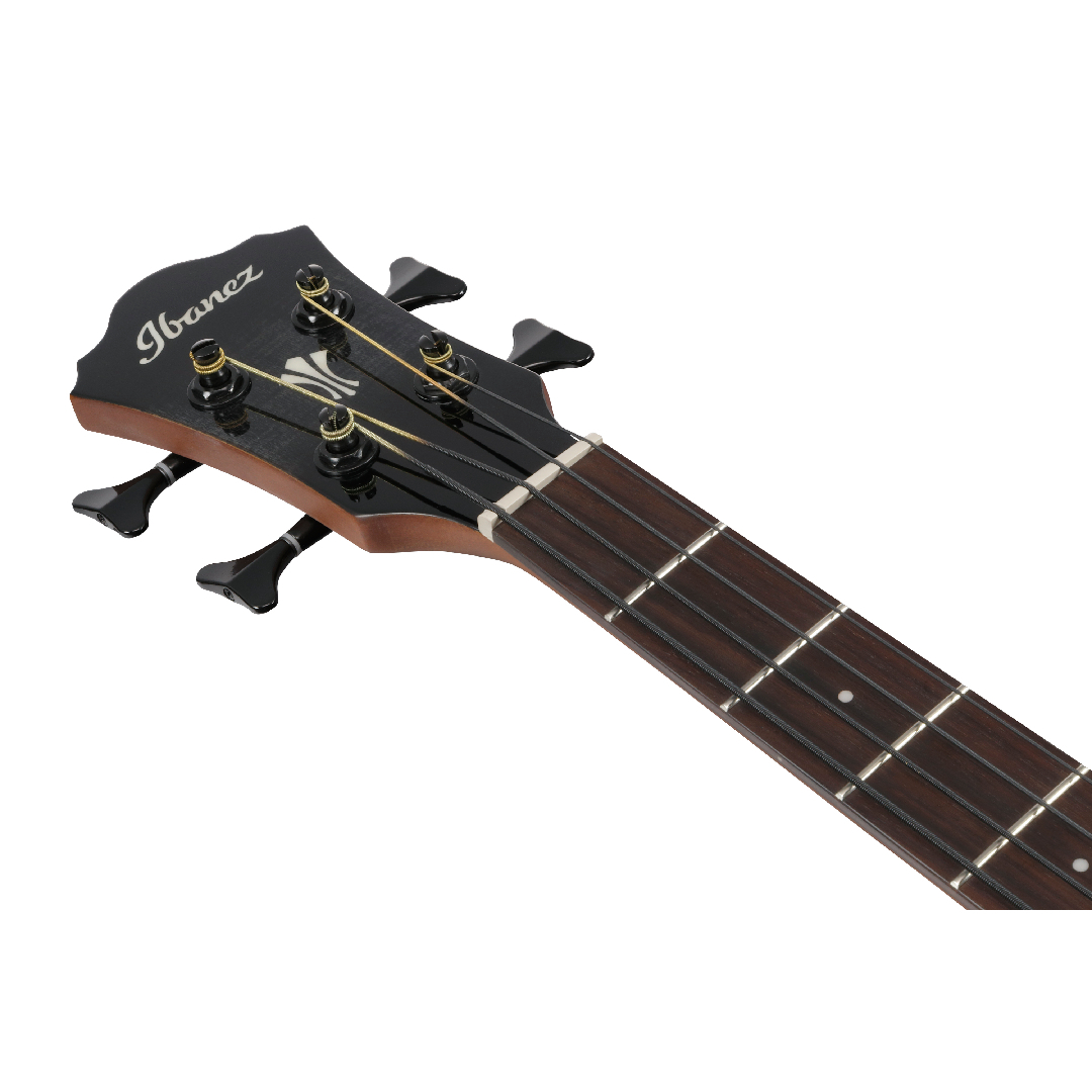 Ibanez AEGB25E-TKH《アコースティック・ベース》【オンラインストア