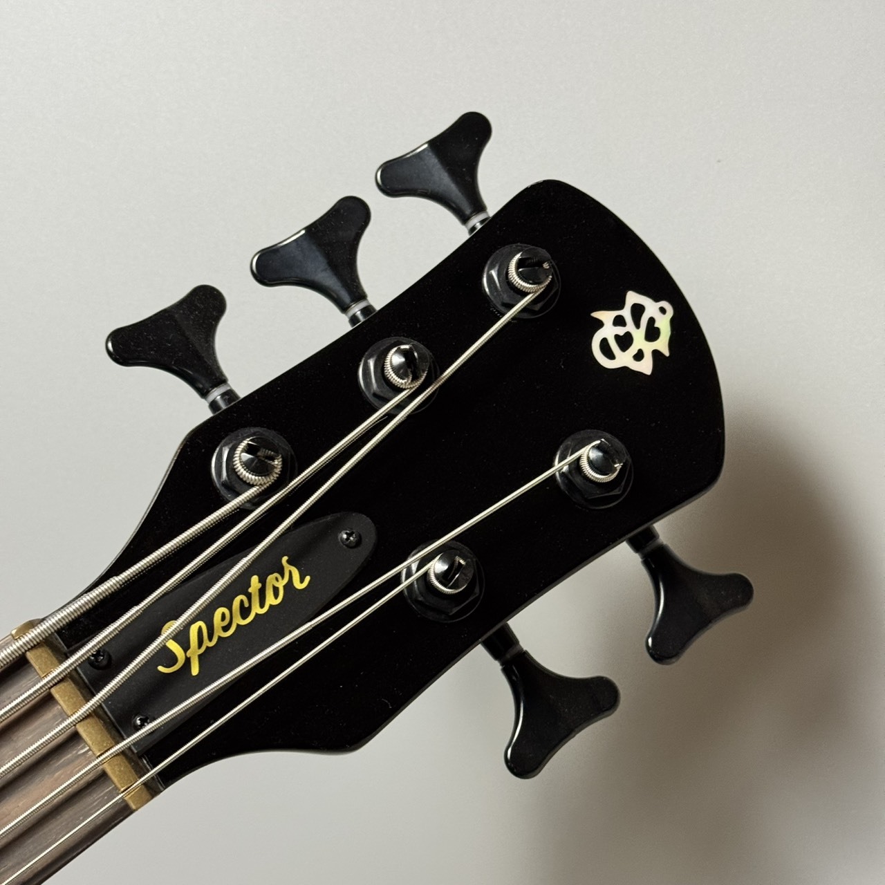 Spector 【現物画像】NS ETHOS 5（B級特価/送料無料）【楽器検索