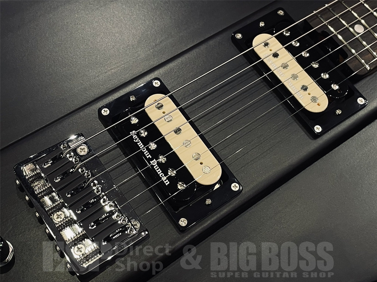 EDWARDS KARMASTER / See Thru Black 【9mm Parabellum Bullet 滝 善充