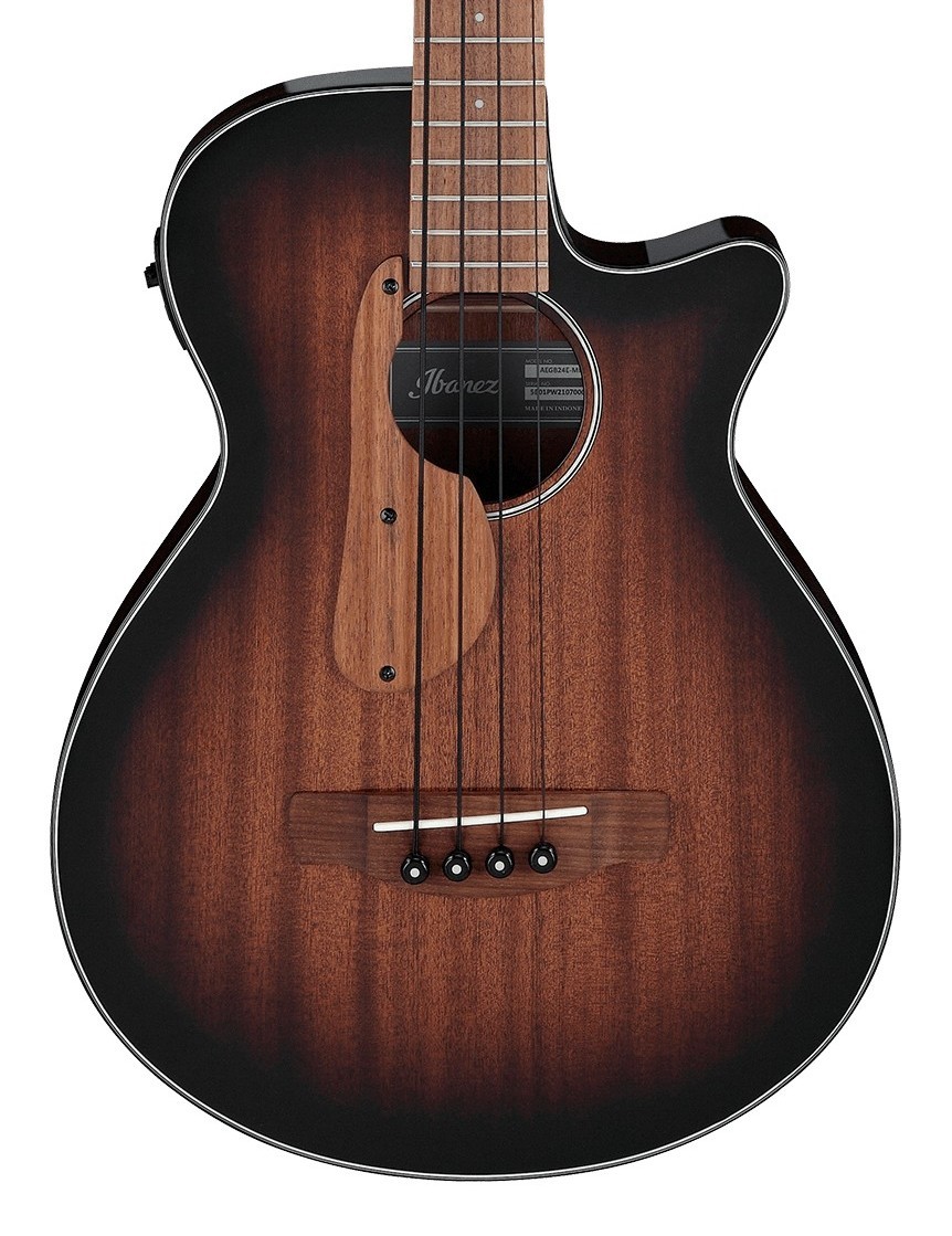 Ibanez AEGB24E (MHS)（新品/送料無料）【楽器検索デジマート】