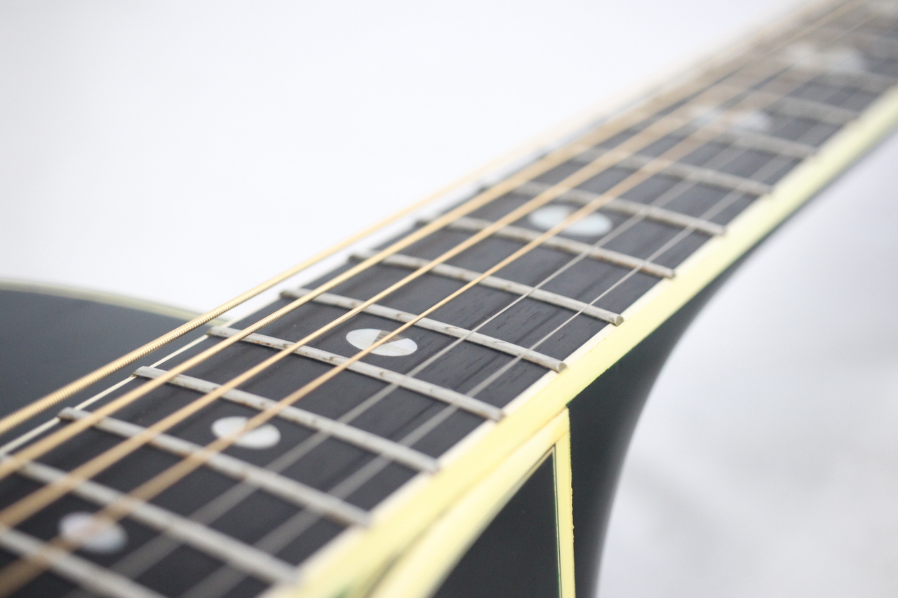 Takamine NPT-115（中古）【楽器検索デジマート】