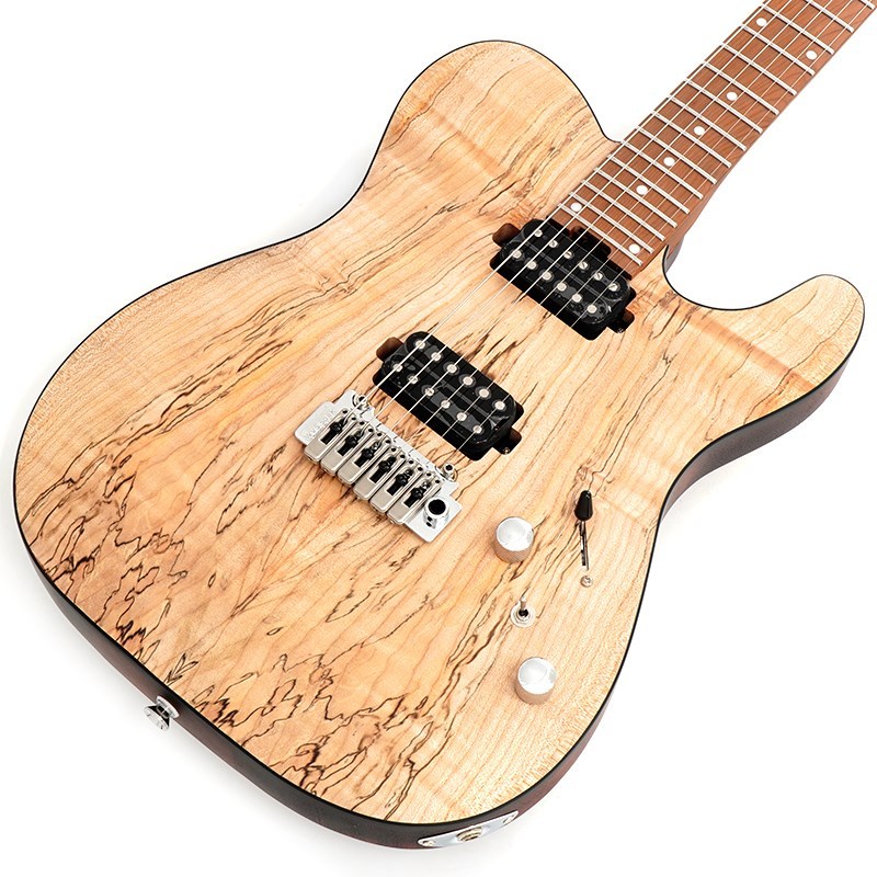 [最終値下げ]バッカス tactics24-spm rsm/m nas TACTICS24-SPM RSM/M NAS Bacchus Japan Tune-up series エレキギター