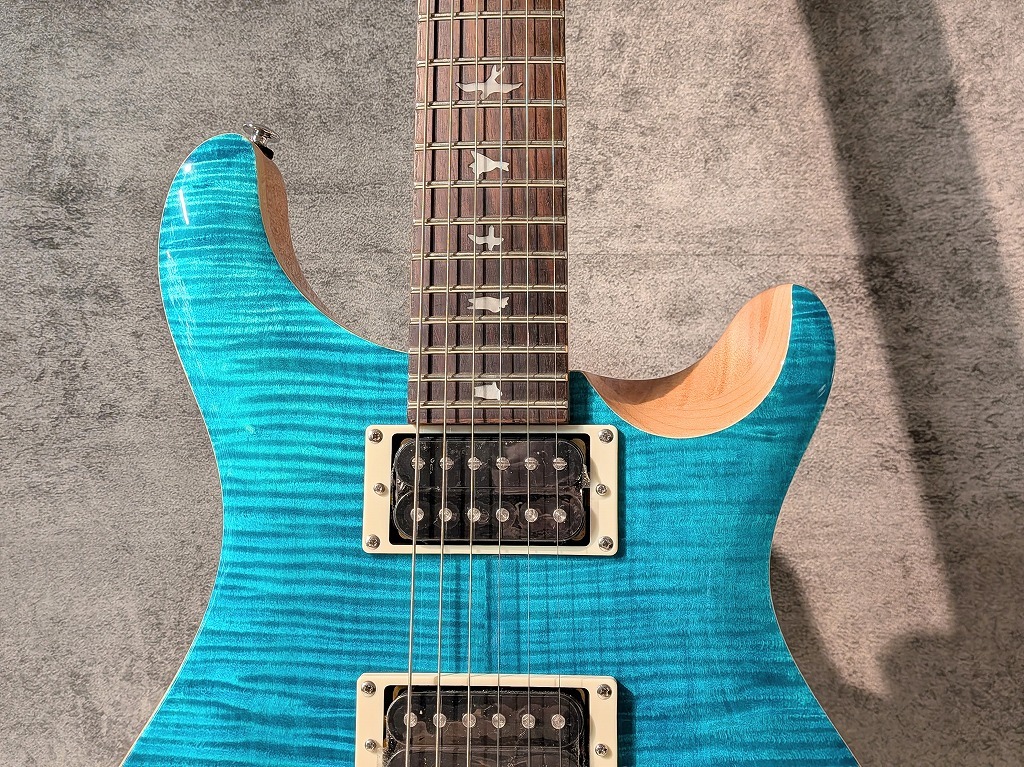 Paul Reed Smith(PRS) ～美杢セレクション～【一目惚れの極上フレイム