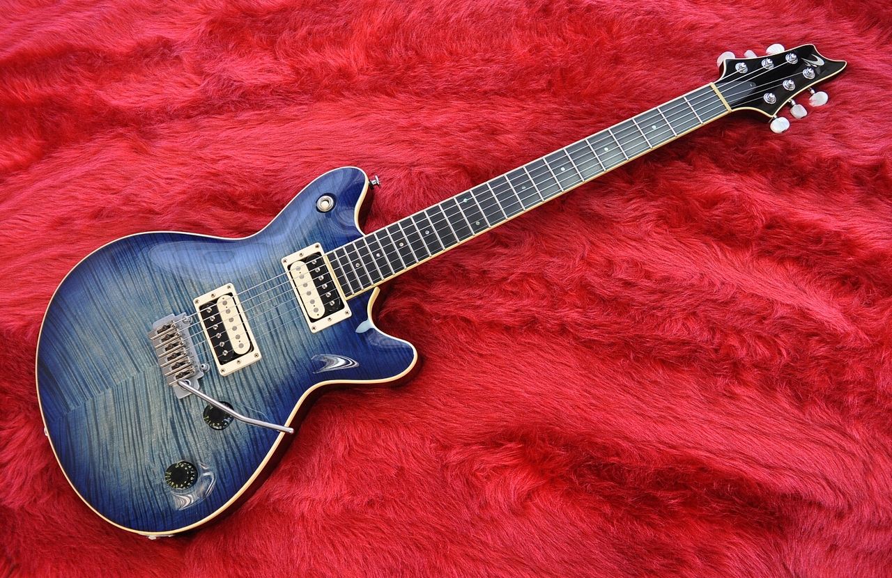 T's Guitars Arc-STD/VS100N Flame Top WhaleBlueBurst（中古