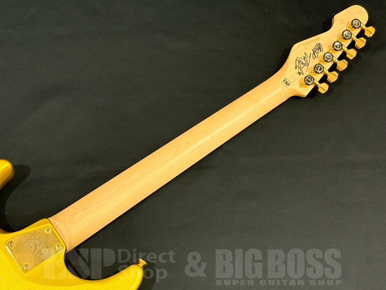 EDWARDS E-SNAPPER TO -Eclipse Gold-（新品/送料無料）【楽器検索