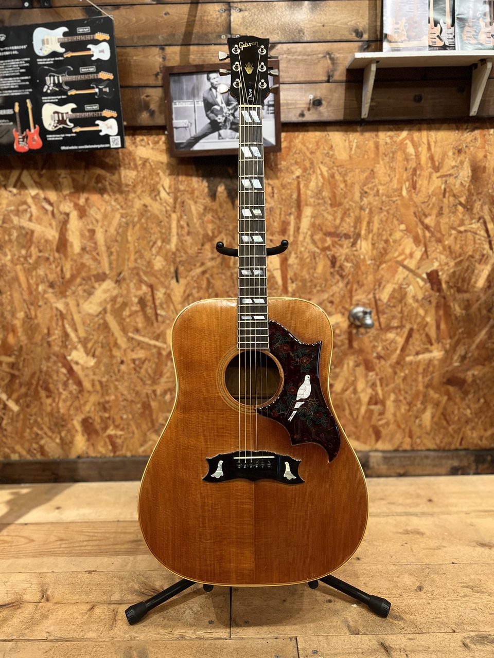 Gibson GIBSON DOVE 【early 70'S】（ビンテージ）［デジマートSALE