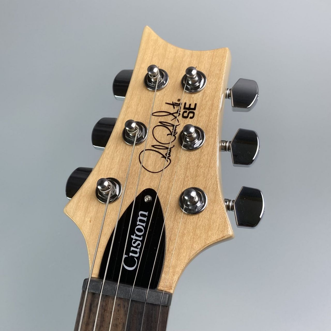美品 PRS SE custom22 希少セミホロウ PRS SE Custom 22 Semi-Hollow | Reverb