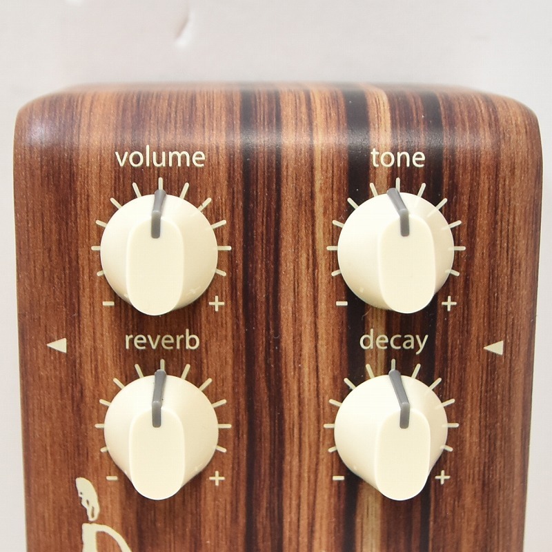 ギター lr baggs ALIGN SERIES REVERB L.R.Baggs ALIGN SERIES REVERB 【心斎橋店】（中古）【楽器検索