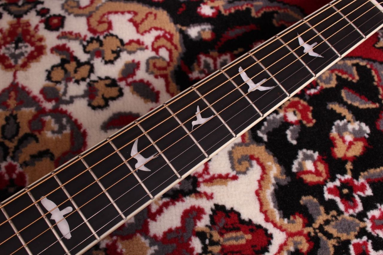 Paul Reed Smith(PRS) SE P20E エレアコ（中古/送料無料）【楽器検索