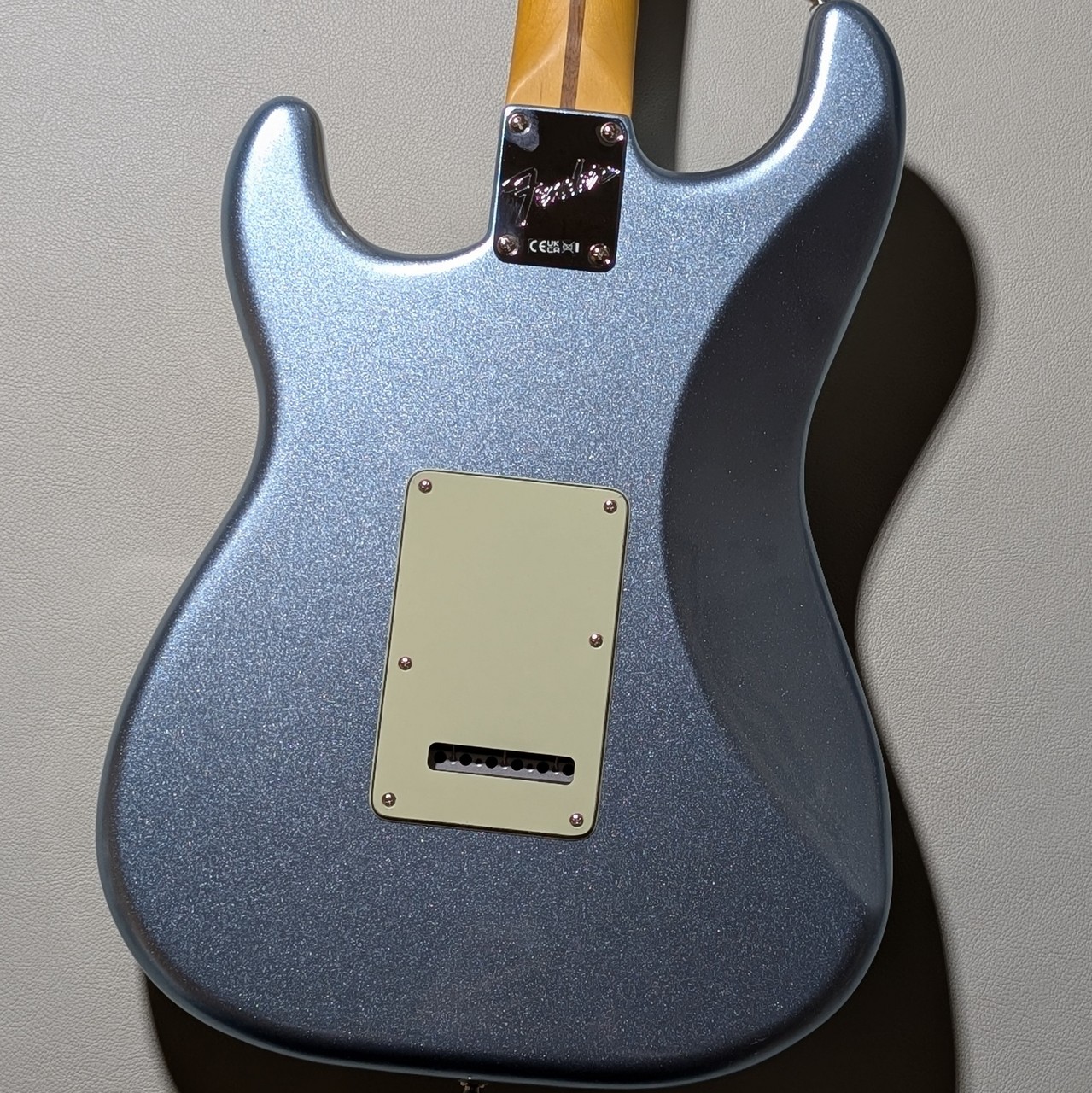 Fender 【クロサワ楽器限定】Limited Edition American Professional