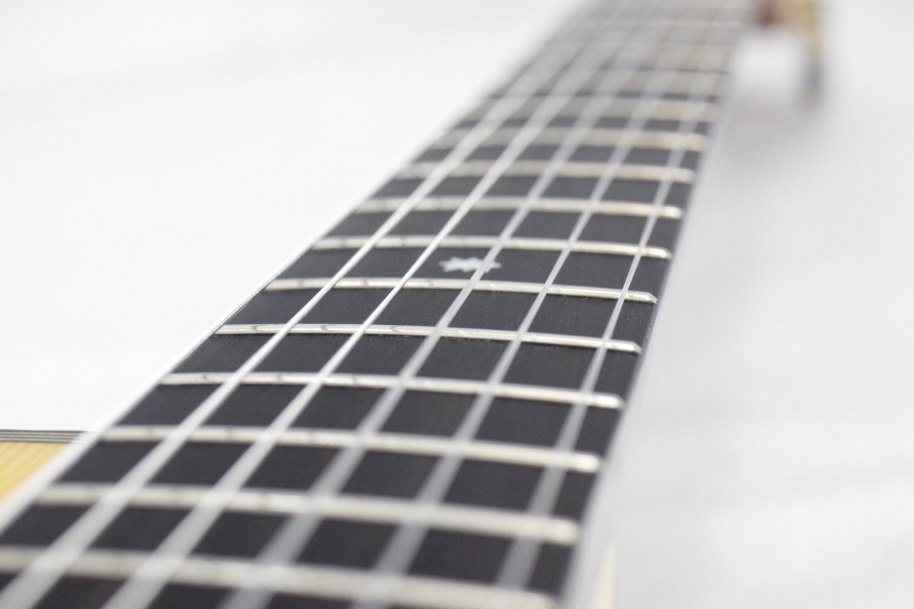 Martinez MP-14 MAPLE ARTIST（中古）【楽器検索デジマート】