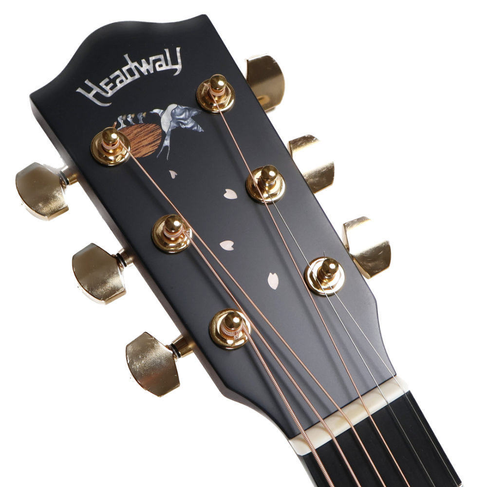 アコースティックギター パール maxresdefault.jpg