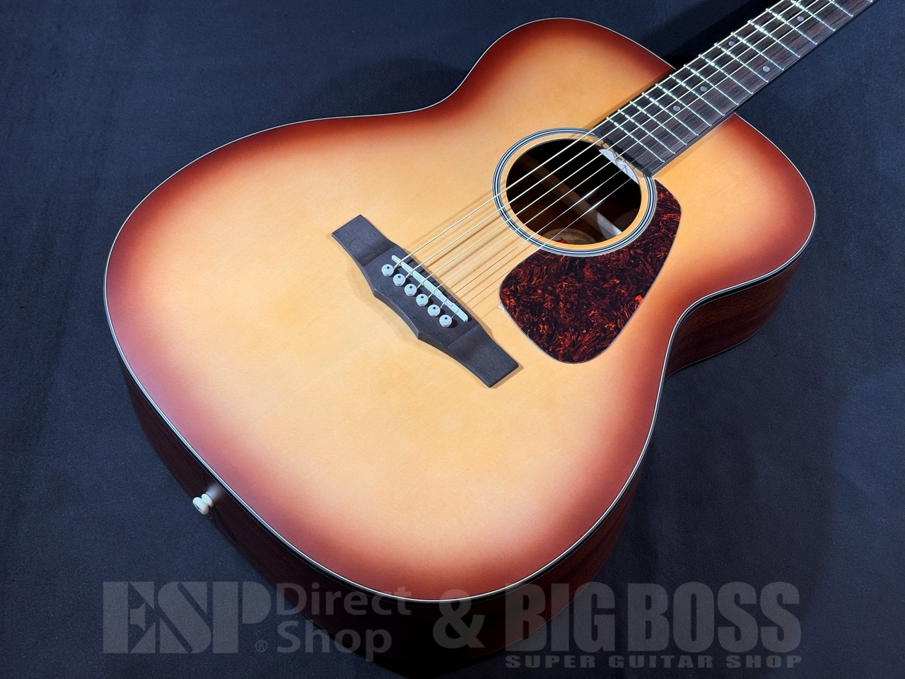 Morris F-1 BS（新品/送料無料）【楽器検索デジマート】