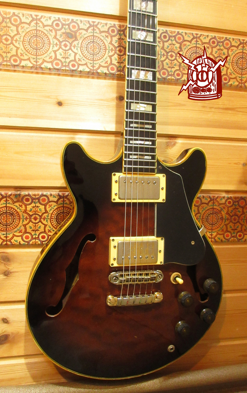 Ibanez AM-205【Made in Japan 1983年製】（ビンテージ）【楽器検索 