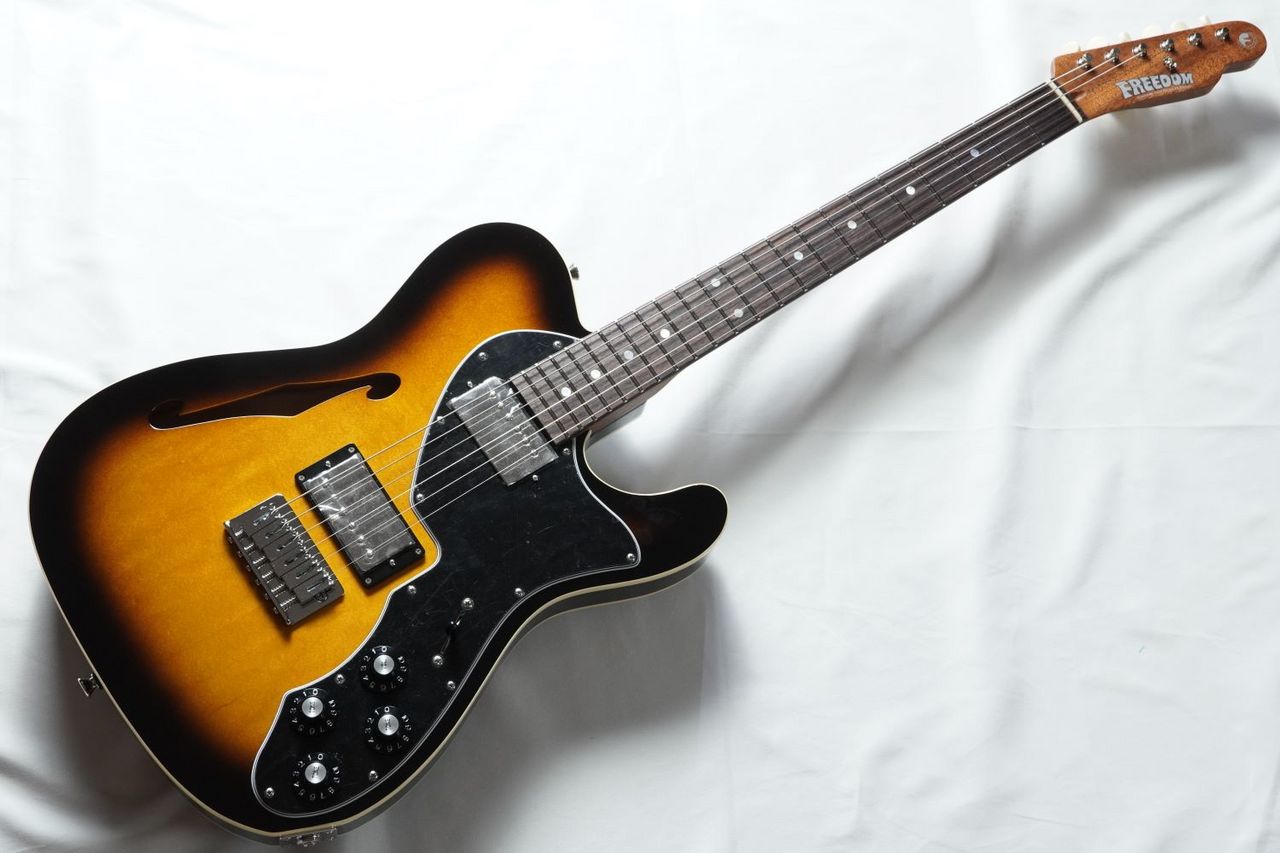 FREEDOM CUSTOM GUITAR RESEARCH C.S.TE Pepper Semi Hollow /2 Tone