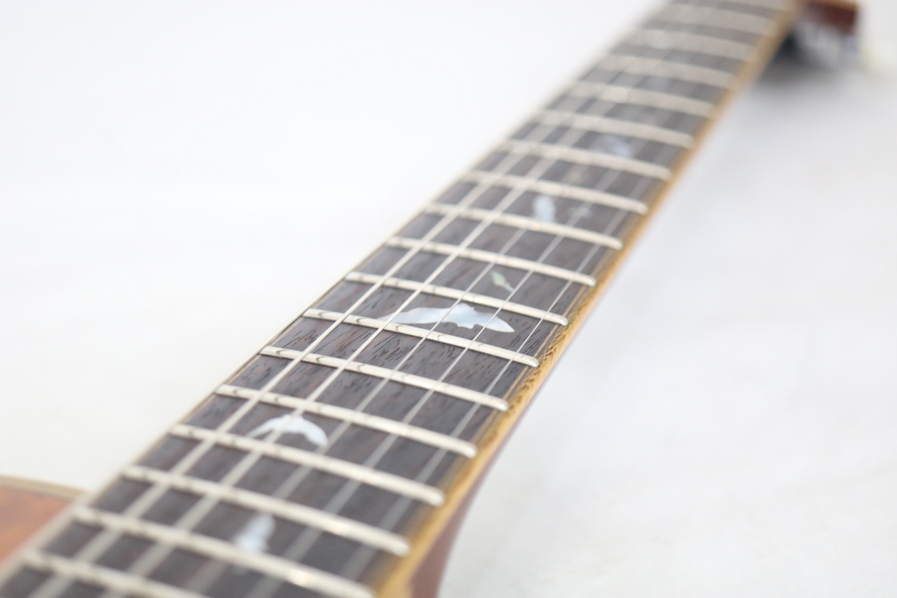Sugi SH 485R EM/AT-MAHO SGS（中古）【楽器検索デジマート】