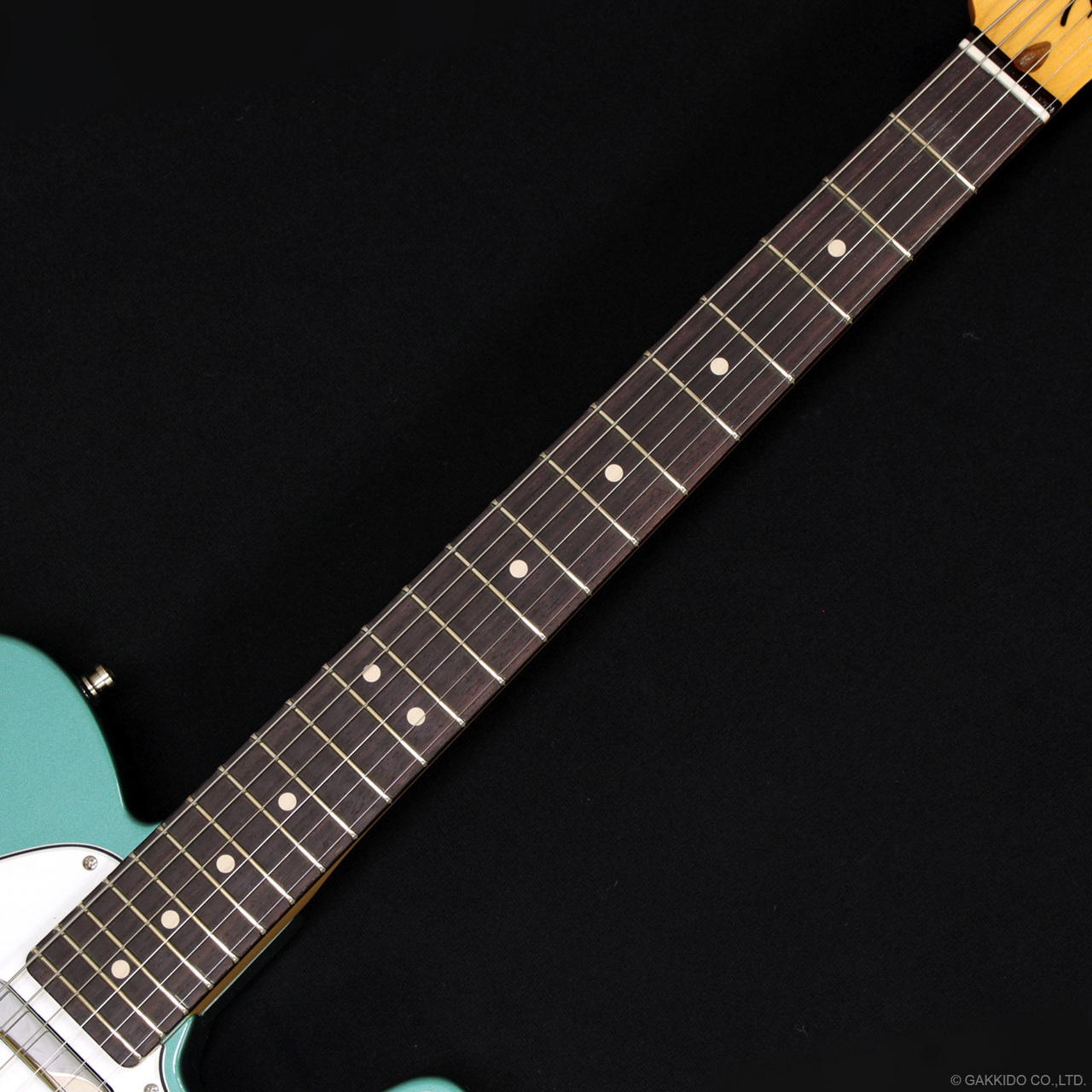 Fender Custom Shop W25 Limited Custom Deluxe Telecaster [Sherwood