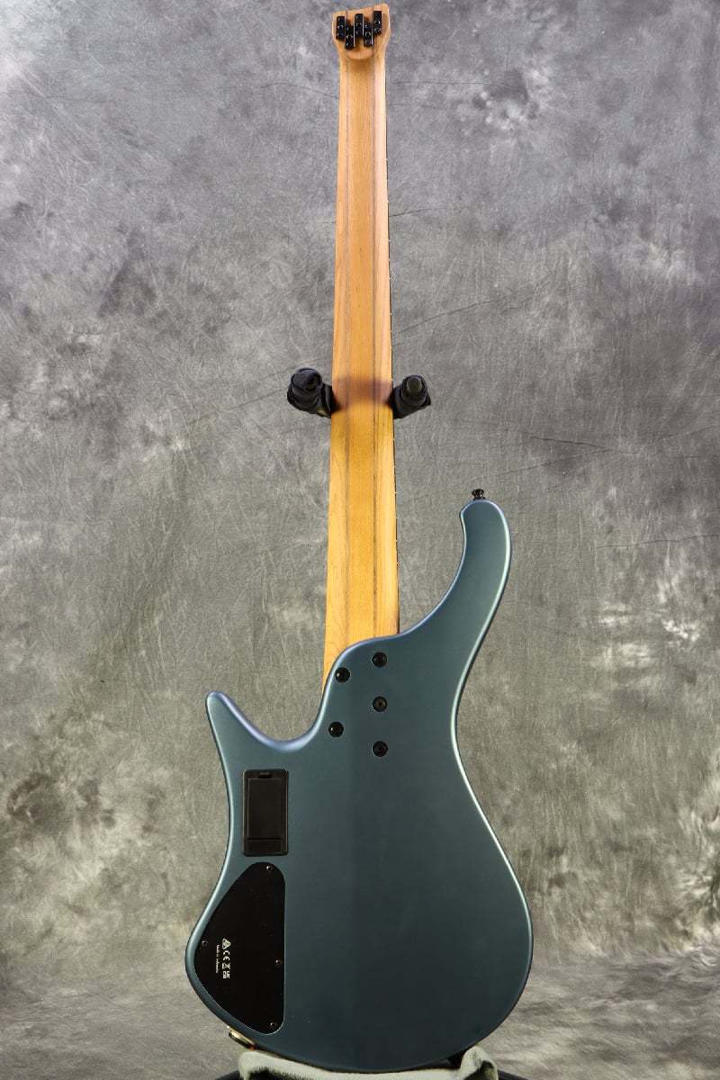 Ibanez EHB1005F-AOM 5弦ベース　フレットレスベース Ibanez EHB1005F-AOM 5弦ベース フレットレスベース EHB1005F | EHB