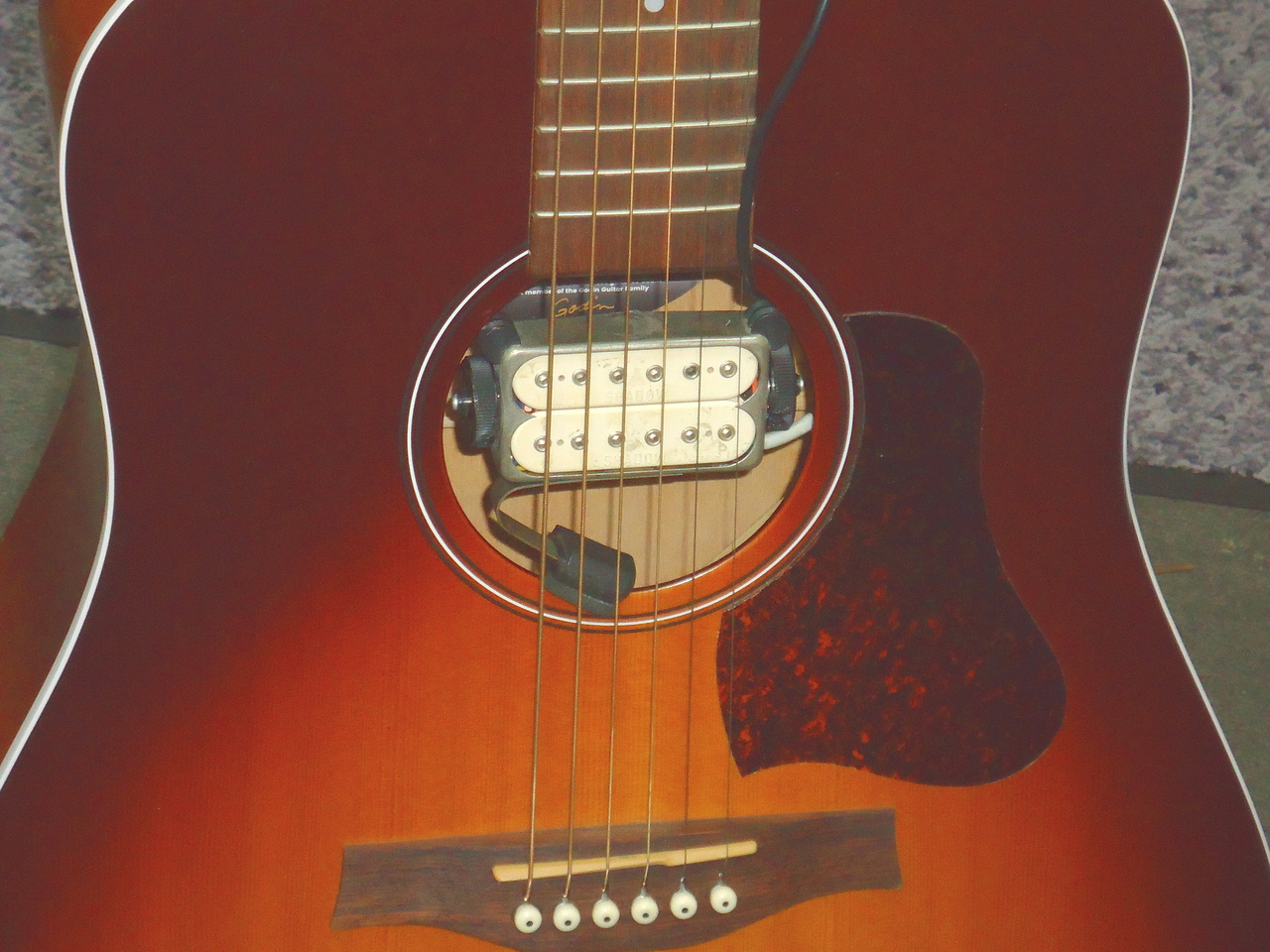 1月中特価】シーガルEntourage Autumn Burst 1月中特価】シーガル