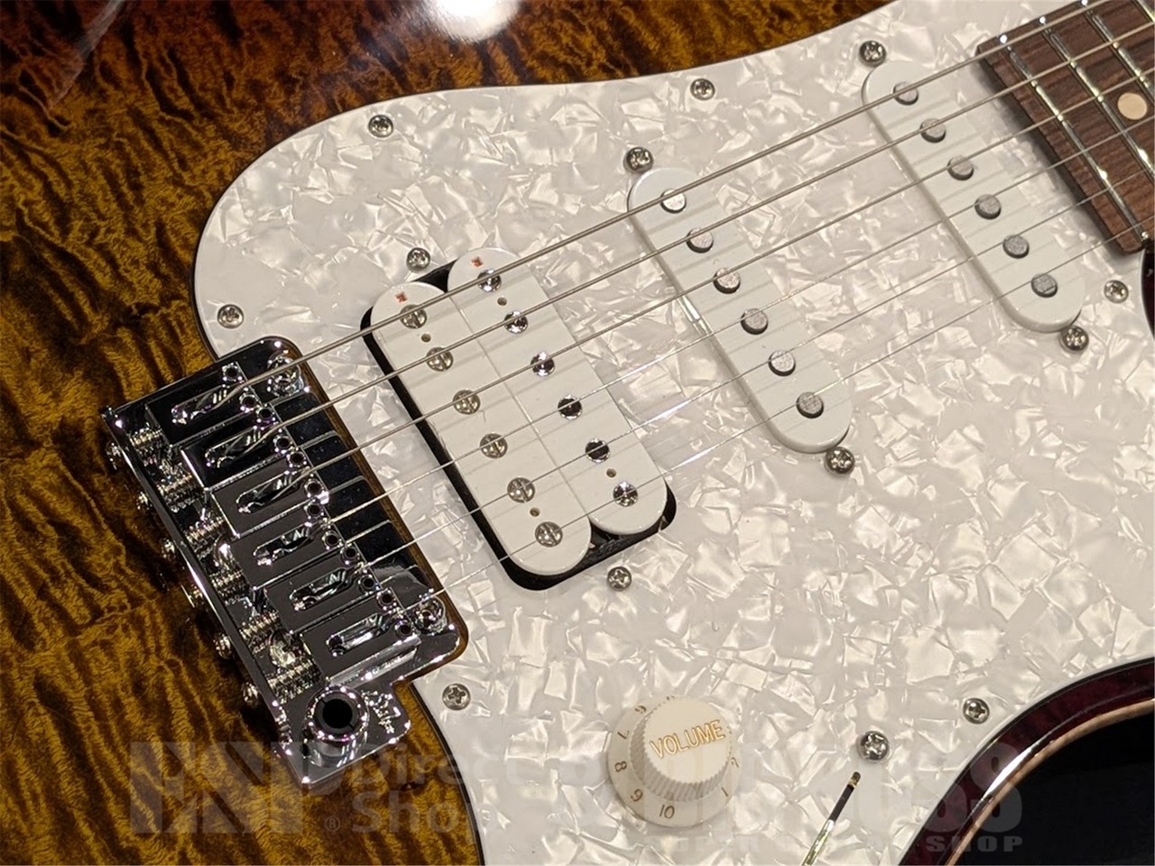 Suhr Standard Plus / Bengal Burst / Pau Ferro 【値上がり前最後の一