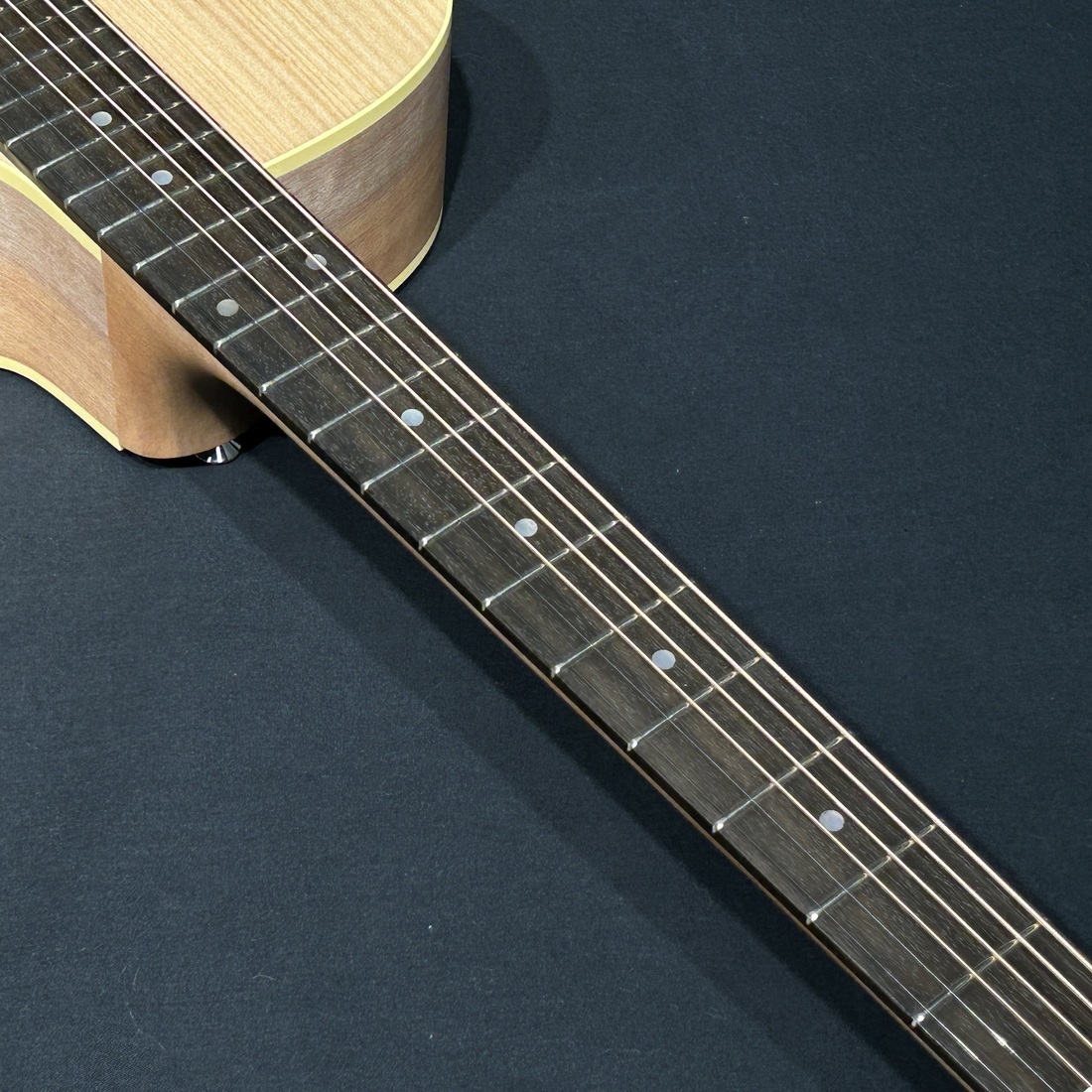 MATON PERFORMER（新品）【楽器検索デジマート】