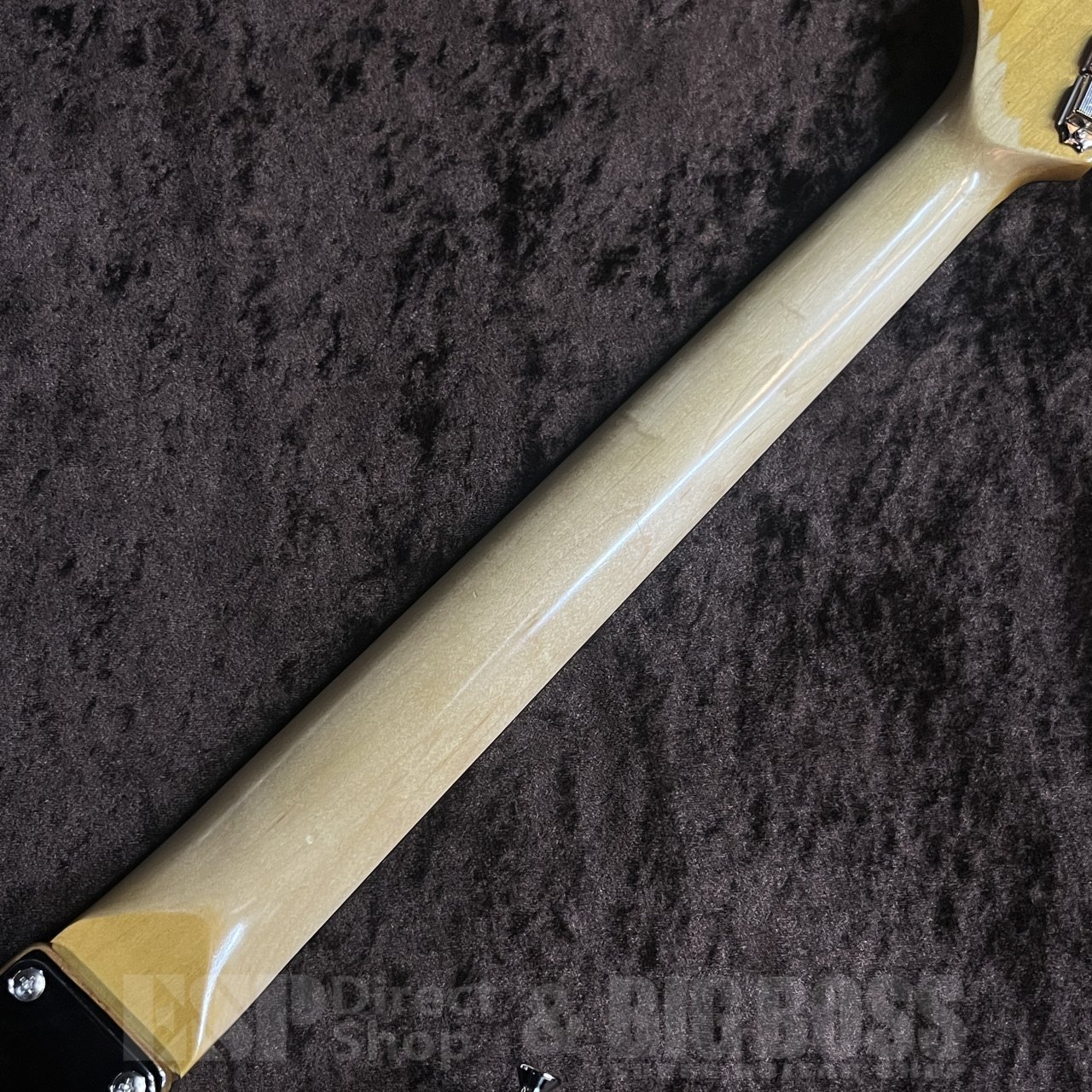 EDWARDS E-SE-DII (LUNA SEA/SUGIZO Model)（新品/送料無料）【楽器