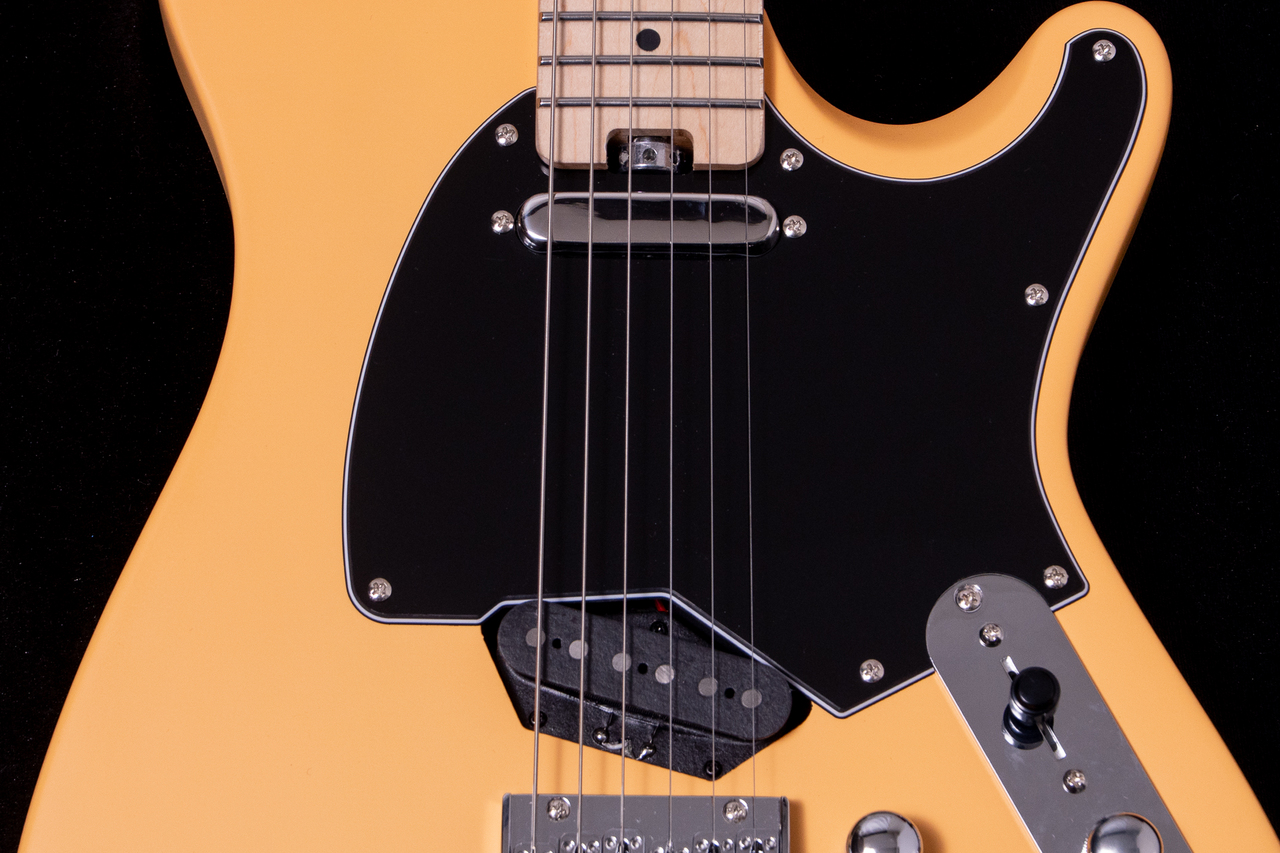 HEX Guitars NT100M S/BSC（新品/送料無料）【楽器検索デジマート】