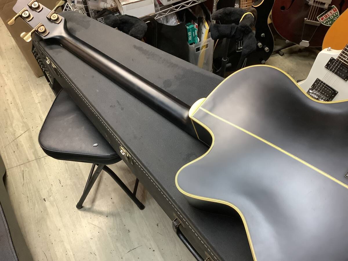 Takamine B10 タカミネ アコースティックベース フレットレスベース Takamine フレットレス・アコースティックベース B10 タカミネ