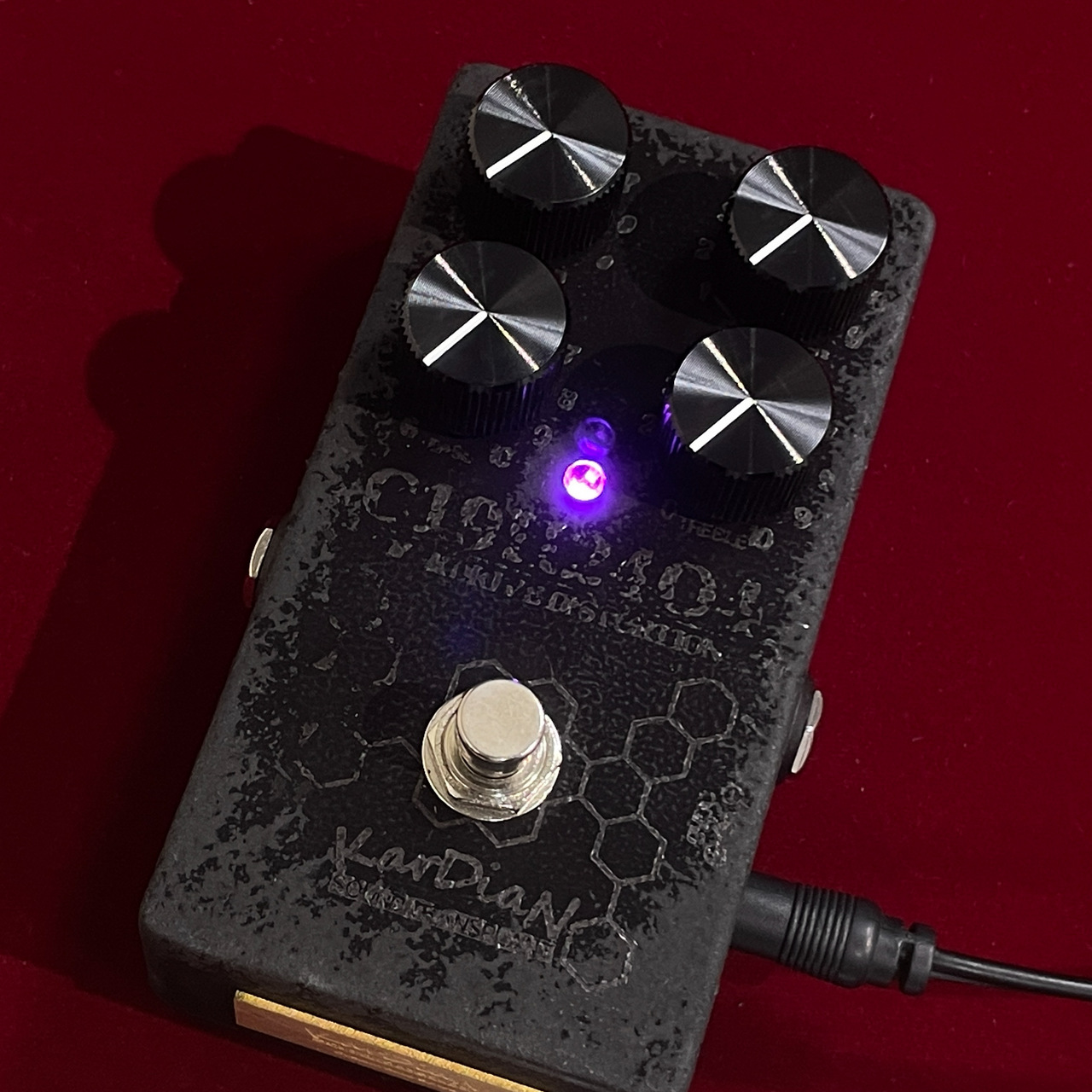 KarDiaN Crotonin 【荒々しく飛び出す黒色の存在感】（新品/送料無料